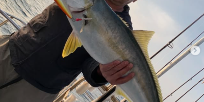 2026年1月17日-釣果情報