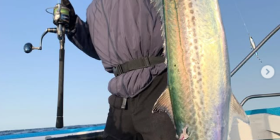 2026年2月23日-釣果情報