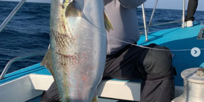 2026年2月21日-釣果情報